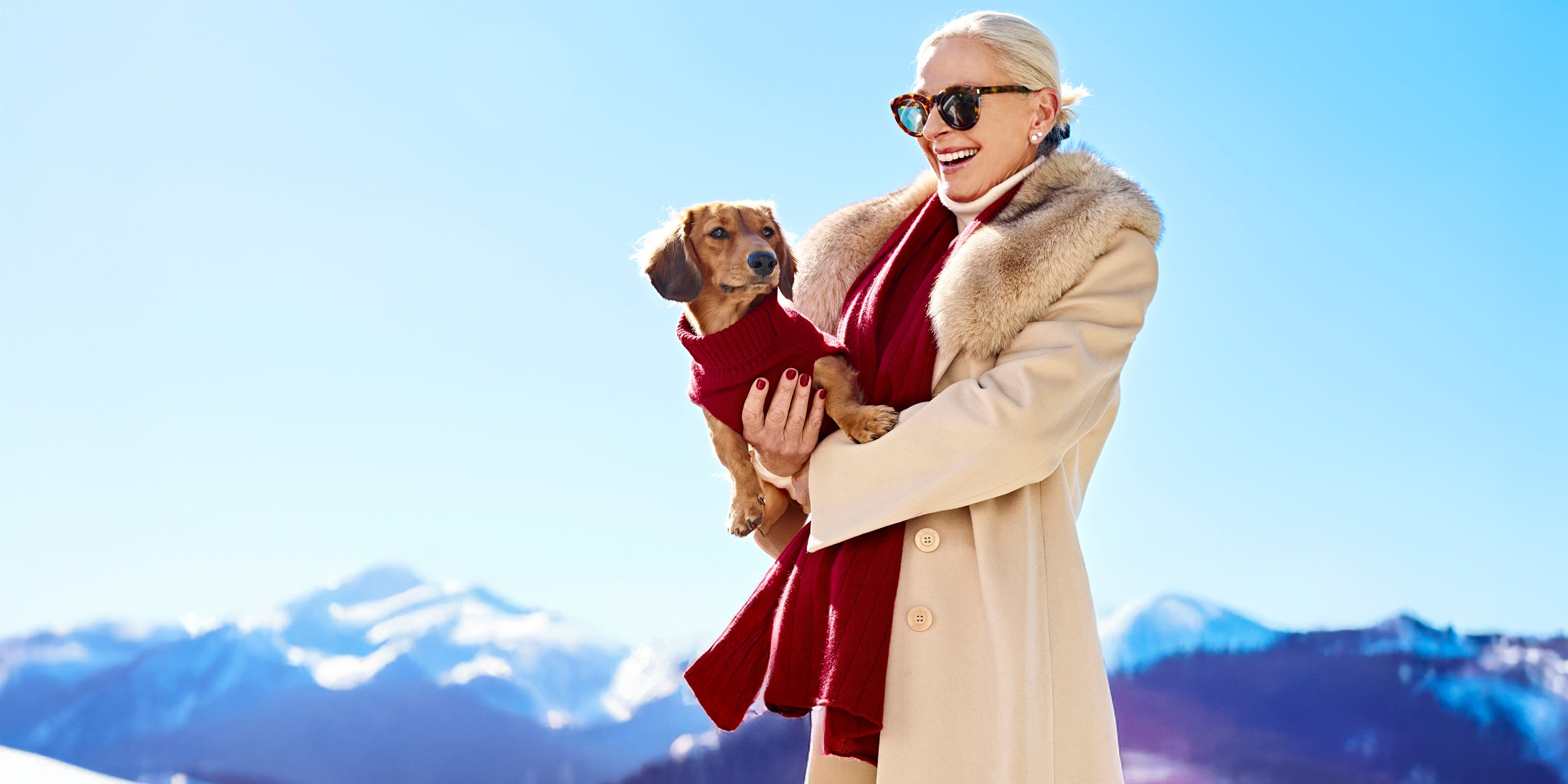 Hunde Kaschmir Sweater