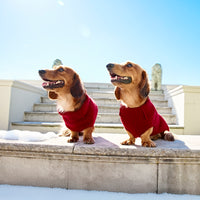 Hunde Sweater